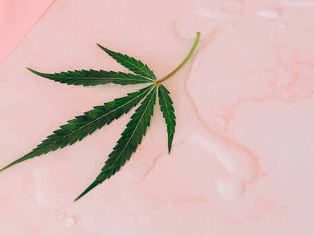 Green leaf on a light pink, wet surface with water droplets. The background has a subtle marbled pattern, creating a calm mood.