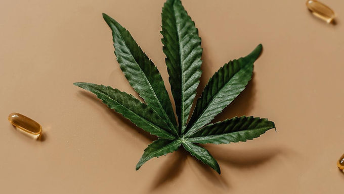 <p class="font_8" style="text-align: justify"><em><strong>Cannabis beverages work by incorporating cannabinoids such as THC or CBD into water-based drinks, frequently employing nanoemulsion technology to enable quicker absorption than edibles. Folks tend to mention soft, even moods, velvety body ease, or soft mental uplift that correspond to the blend and dosage. Smoking’s effects are almost immediate, while the drinks start to hit you after around 20 to 40 minutes and can linger for a few hours. Many varieties are labeled by strength, making it simpler to choose what suits you. For beginners, start with low milligrams and take it slow. Drinks can come on stronger or last longer than you might expect. Later sections discuss how brands create them and provide advice for safe consumption.</strong></em></p>