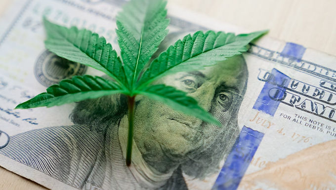 Recreational Dispensary