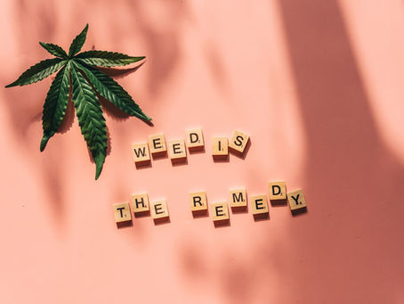 Cannabis leaf on peach background with Scrabble tiles spelling "WEED IS THE REMEDY." Sunlight casts soft shadows. Relaxed mood.