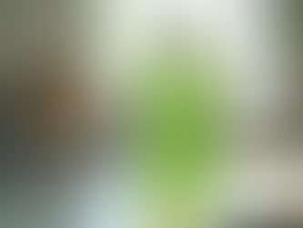 Sophab Vegetable Cleaner Cost: Pricing and Benefits