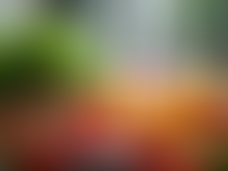 Fruit & Vegetable Wash: What It Removes (and What It Doesn’t)