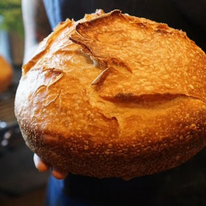 How I Discovered Texas Juniper Yeast for Sourdough