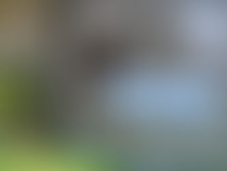 Visite didattiche in azienda