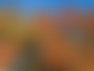 L'autunno è arrivato e il cesto ha riversato