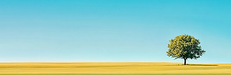 ruperttaryeenwind_a_photo_of_a_large_open_mid_western_farmlan_fcaa0392-5413-492e-af96-2713