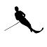 Mono Skiing