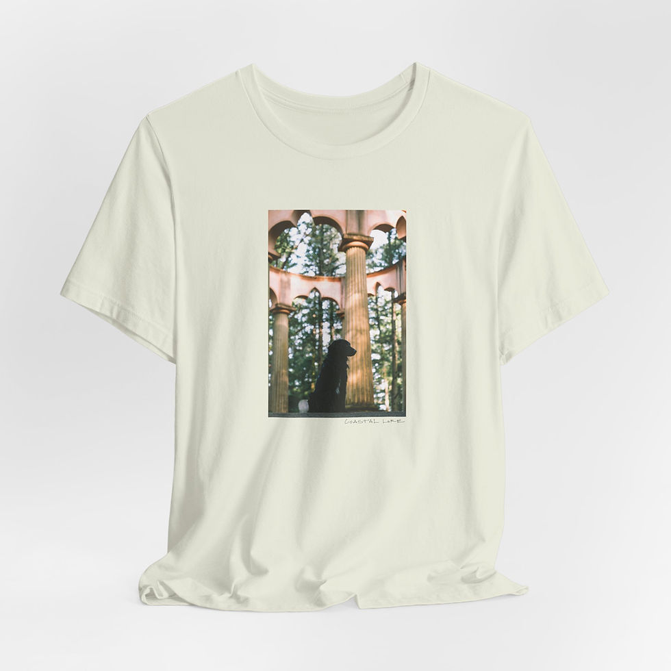 Thumbnail: Afterglow Vista Unisex Tee