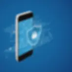 safeguard financial data