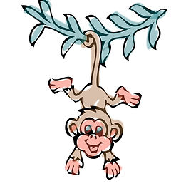 monkey.jpg