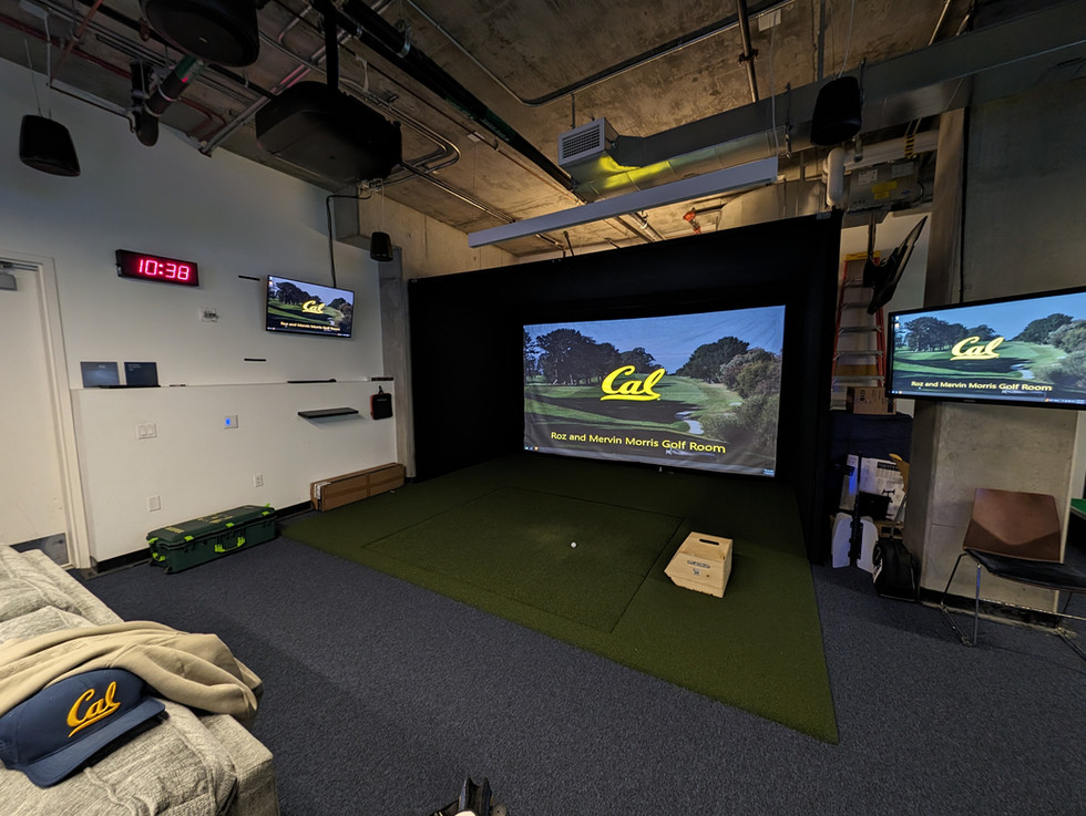 Zweiter Trackman Simulator.jpg