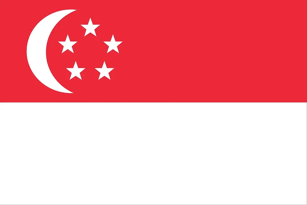 Flag-Singapore.webp