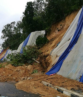 WhatsApp Image 2025-04-18 at 12.49.57.jpeg