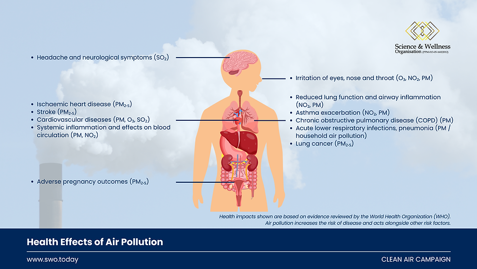 Health Effects of Air Pollution (3840 x 2160).png