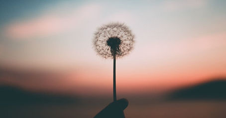 Yaşamımızı kim yönetiyor?