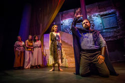 Hedgerow Medea 2018 (174)