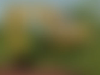 FS22 - Escavadeira Liebherr 902 Pack