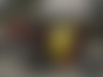 FS 22 -Lizard Mehanika 440