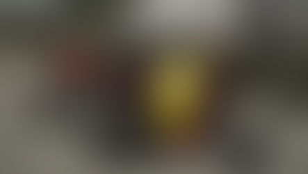 FS 22 -Lizard Mehanika 440