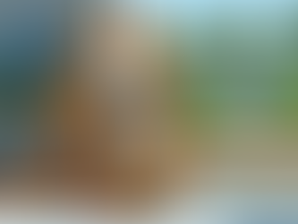 FS 22 - Condor 800 AM18 PC/CONSOLES