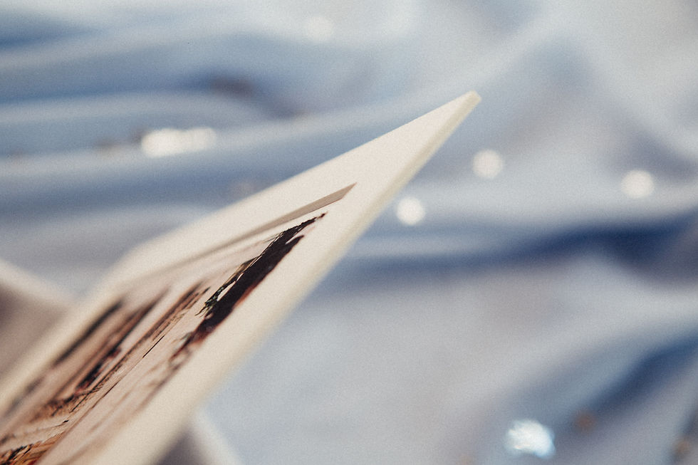 Miniatyrbilde: KUNST PRINT med passpartour