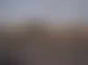 Legisladores México y EU se unen contra una posible intervención militar de Trump