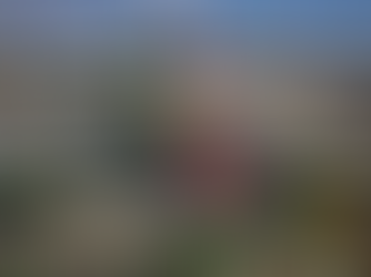 Dos Bocas continúa al alza: aumenta 61.48% su producción de combustibles