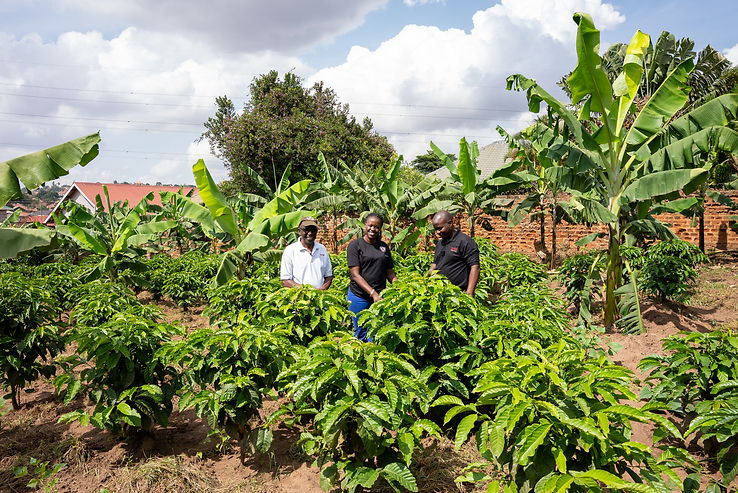 TIKOS Candidate 008 SeedStar_Field Visit-Kitezi.jpg