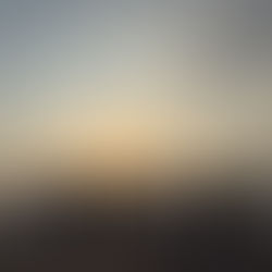 第25回日本再生医療学会総会で発表しました。