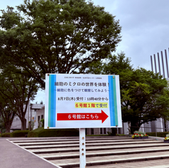 公開講座「細胞のミクロの世界を体験!~細胞に色をつけて観察してみよう~」を開催しました