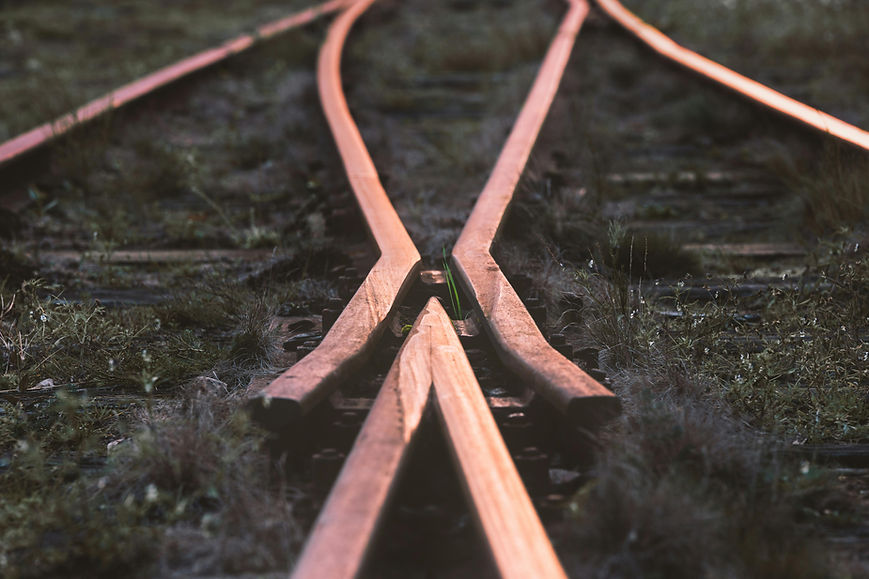 pexels-albinberlin-892543.jpg