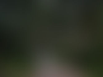 20240805遠距觀元辰--每個人的催眠態影像皆是潛意識充滿愛的提醒,清晰或模糊值得用心感受與珍惜。