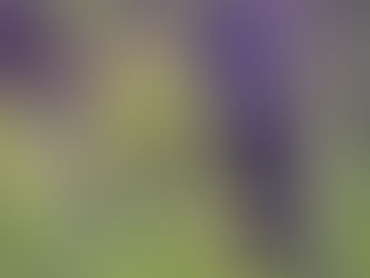 20210517觀元辰--催眠與觀元辰只是輔助工具,有任何需要專業判定及治療的問題,務必尋求醫療機構的專業協助,才不會讓自己做出不適宜的選擇!