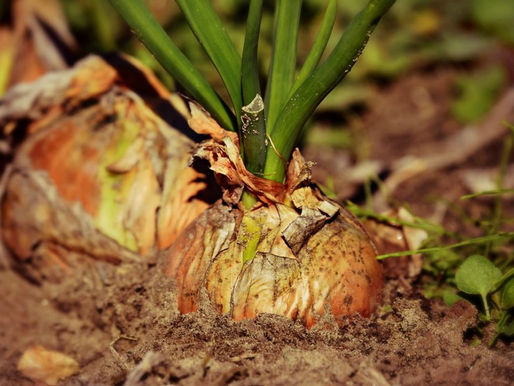 20220325遠距帶觀元辰故事--在社會的大染缸下處久了,我們時常會不自覺地自責,將所有的失敗都歸咎於自己,好像這樣才叫做為負責。