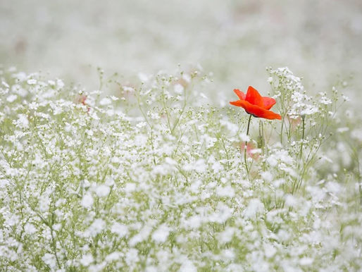 20211221觀元辰--觀元辰到底是什麼不重要，重要的是在看了之後「知道自己想要什麼」！