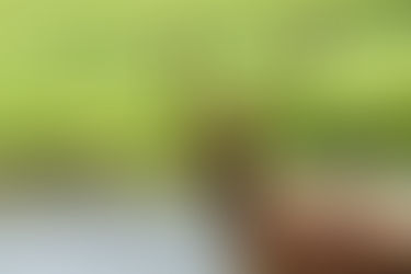 20221019催眠故事--愈單純愈有力量,千萬要學會不為別人改變自己,人生的劇本中自己當主角就夠了!