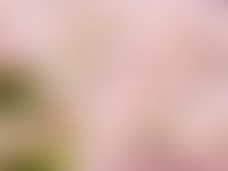 2019/04/18. 觀元辰--當妳走過谷底,迎面而來的是無限的光!