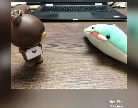 126362678_289802062354329_46492756381473