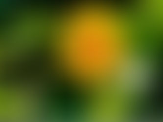 20200702觀元辰--元辰宮內意象的改變可以藉由Elsa引導調整心念，但現實生活中期待的改變重點是「妳有做了什麼！」