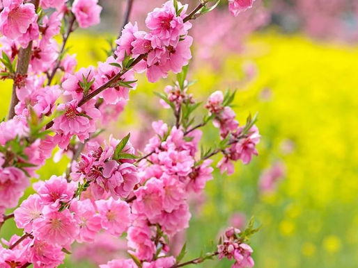 20201016觀元辰--未知的恐懼總是將人壓的喘不過氣,但善用觀元辰就能讓自己輕鬆地勇敢面對!