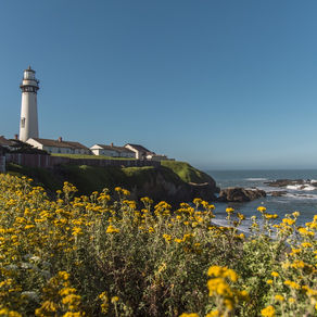 20231219催眠故事（Elsa與疾病對話）--疾病通常會伴隨著訊息而來，只要我們願意用心發現，潛意識一定會很樂意的提供答案。