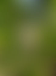 20200527觀元辰--覺得迷茫～可能是因為將自己活在限制中而看不見自己的價值？！