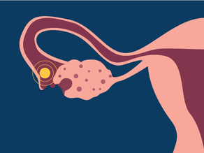 7 สัญญาณที่บอกว่า “วันนี้แหละ..วันไข่ตก” ( 7 signs of ovulation to detect your most fertile time)