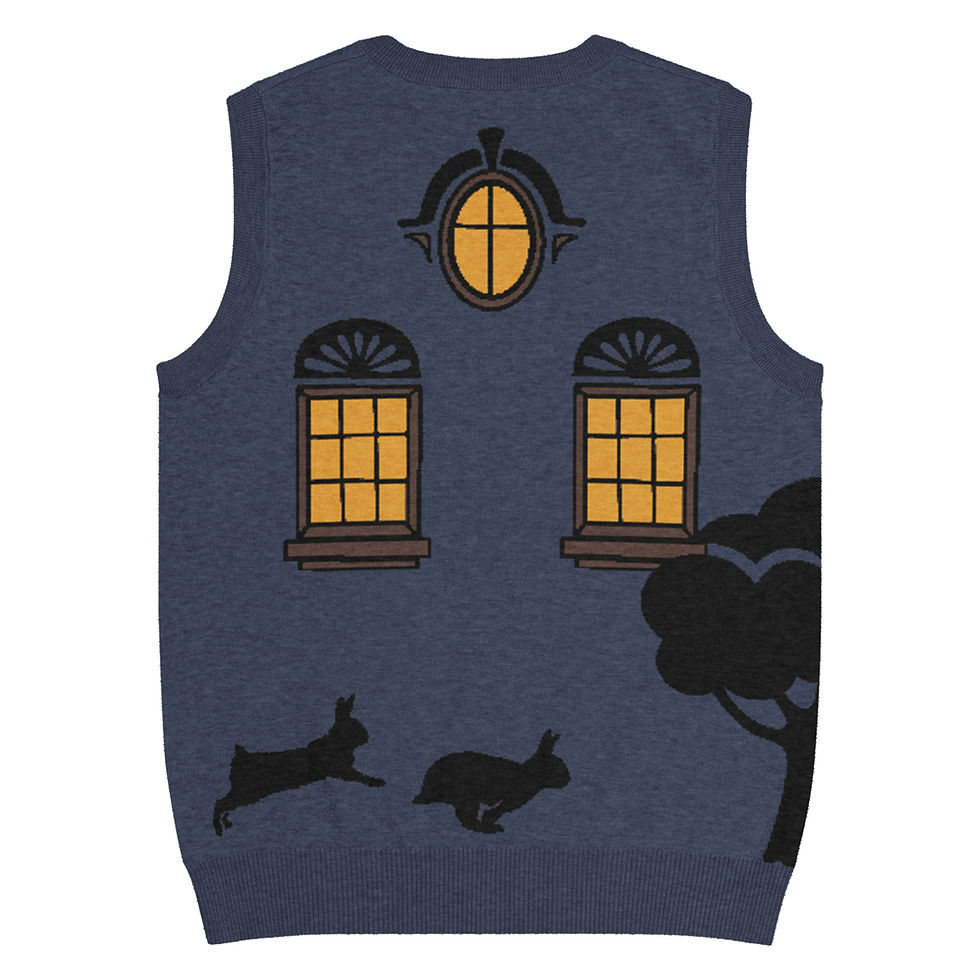Thumbnail: "Am I Who, What, Where, or When" Knit V-neck vest