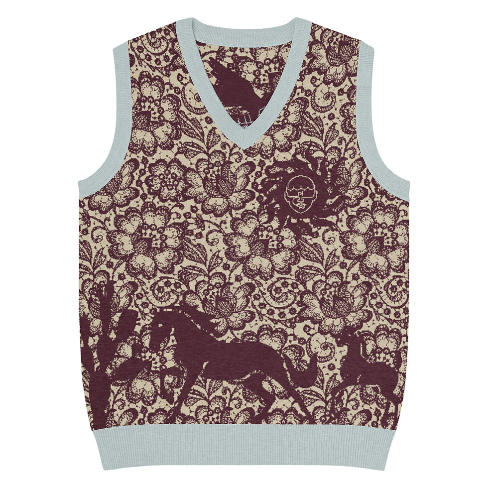 Thumbnail: "A Foals Story" Knit V-neck Vest