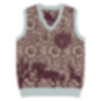 Thumbnail: "A Foals Story" Knit V-neck Vest