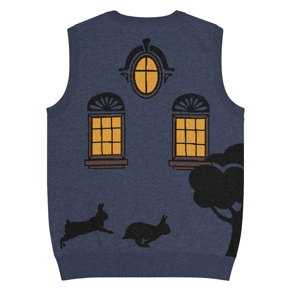 Thumbnail: "Am I Who, What, Where, or When" Knit V-neck vest