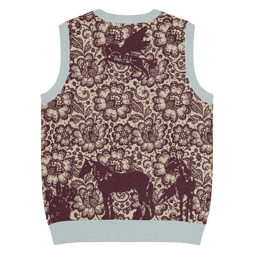 Thumbnail: "A Foals Story" Knit V-neck Vest