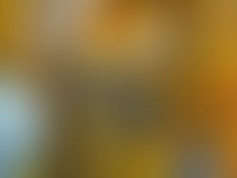 Newsletter November 2025