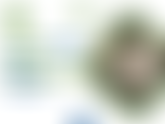 Alternanza Scuola-Lavoro nel settore alimentare